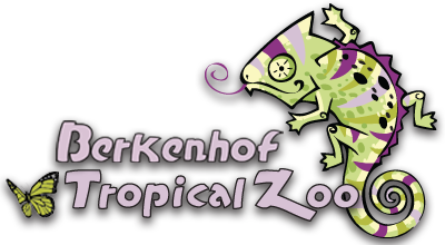 Berkenhof Tropical Zoo met korting