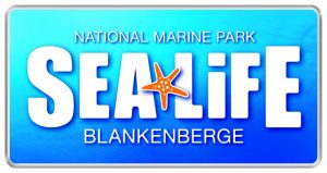 Sea Life in Blankenberge met korting